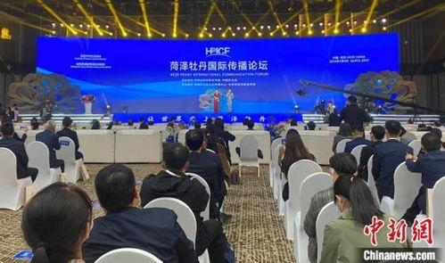 菏泽今日头条牡丹国际,牡丹国际绽放魅力，共赴花海盛宴