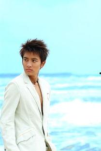 意中明星贾乃亮,从阳光少年到实力派演员的蜕变之路