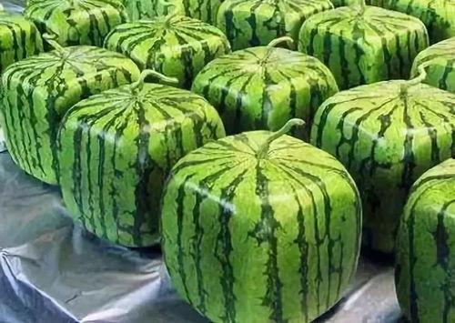 吃瓜来源图片,一张图片引发的思考