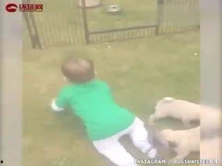 搞笑的吃瓜场面,让你捧腹大笑